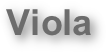 Viola    